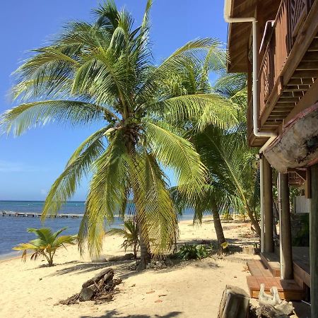 Reef Beach House - 2 Bedrooms Sandy Bay Extérieur photo