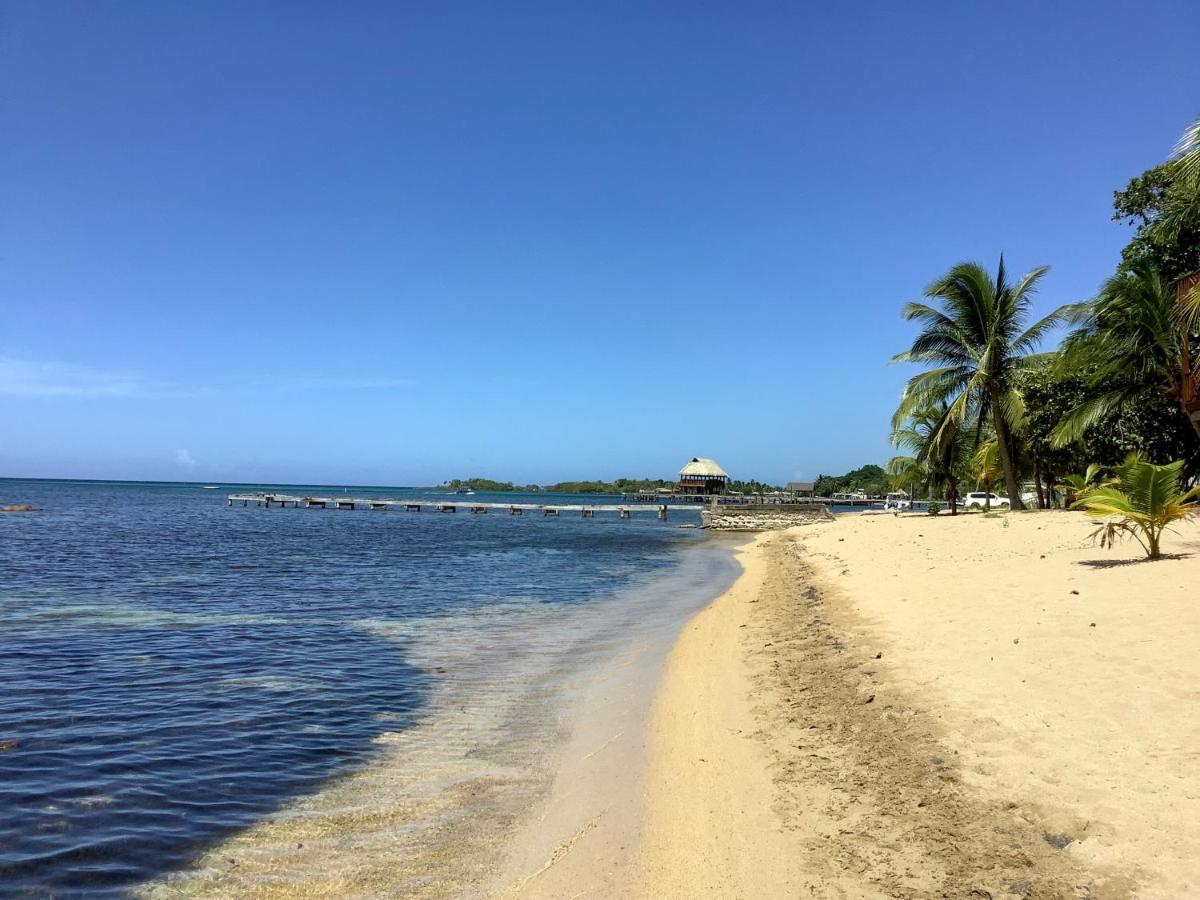 Reef Beach House - 2 Bedrooms Sandy Bay Extérieur photo